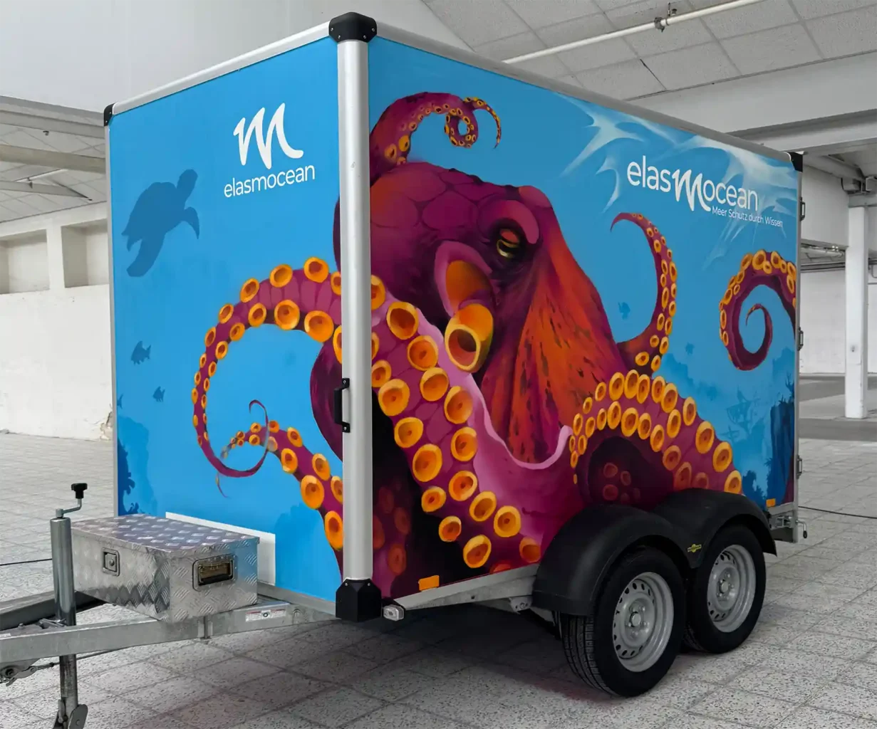 Octopus